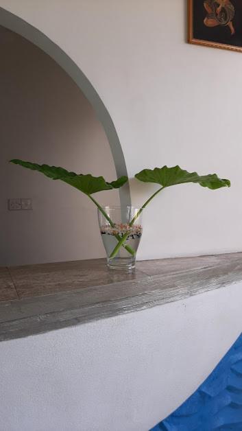 Akurala Beach Boutique Resort Екстер'єр фото