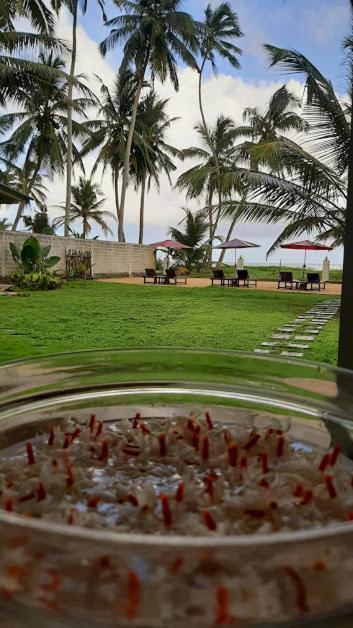 Akurala Beach Boutique Resort Екстер'єр фото