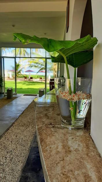 Akurala Beach Boutique Resort Екстер'єр фото
